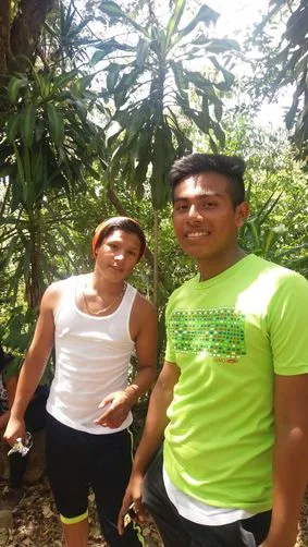 Picture
